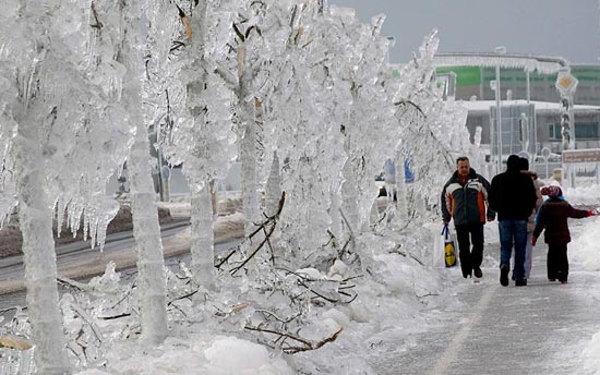 دیدنی های امروز؛ چهارشنبه 16 بهمن ماه