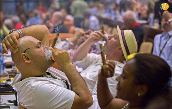 تصاویری از جشنواره سالانه سیگار برگ در کوبا