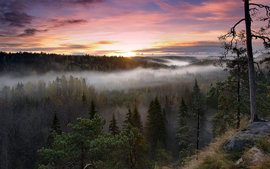 چرا باید از کشور فنلاند بازدید کنیم؟