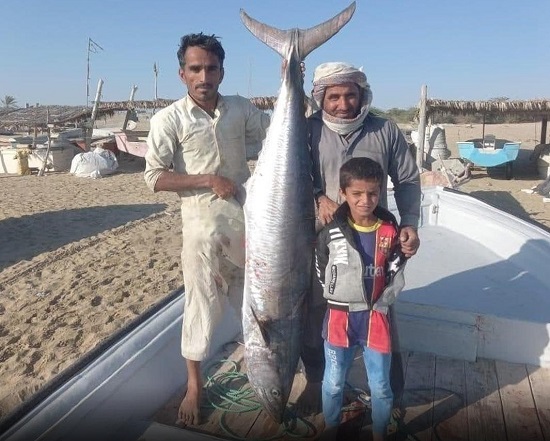 صیاد اهل جاسک، ماهی ۴۰کیلویی صید کرد