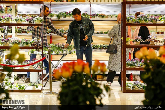 هفدهمین نمایشگاه بین‌المللی گل و گیاه