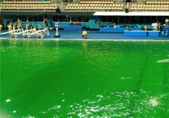 علت تغییر رنگ آب استخرهای مسابقات المپیک
