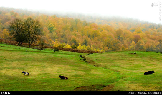 عکس: طبیعت پاییزی مازندران