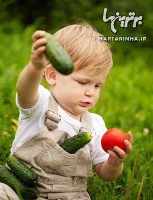 سبزی خور کردن بچه ها قلق دارد