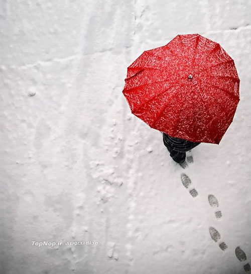 چتر های خلاقانه و فانتزی +عکس