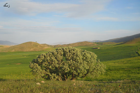 طبیعت زیبای چرداول در ایلام