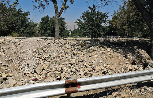 عکس: خشک شدن درختان در تهران