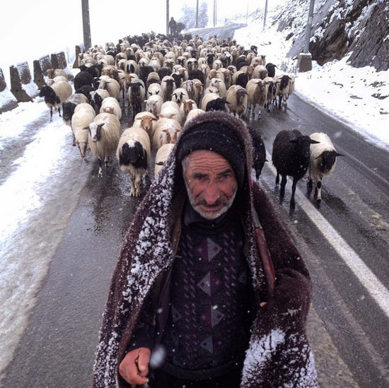 اینجا ایران است (117)