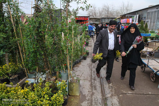 عکس: بازار گل وگیاه تهران