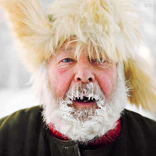 ساکنان قطب شمال +عکس