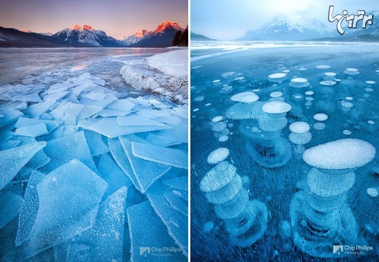 زیبایی های یخ زده +عکس