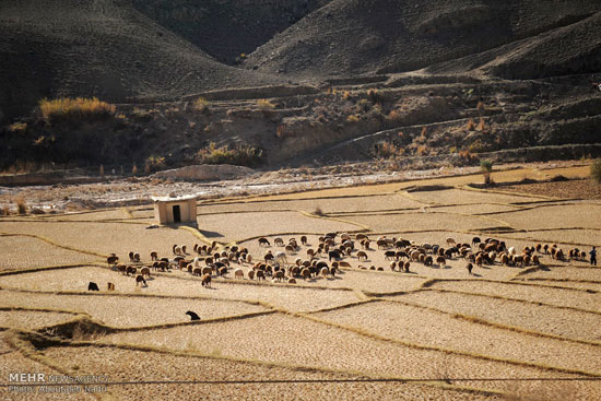 عکس: روستای فارسیان