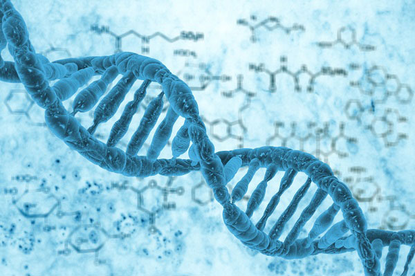 توسعه قطعه‌ای الکترونیکی با DNA