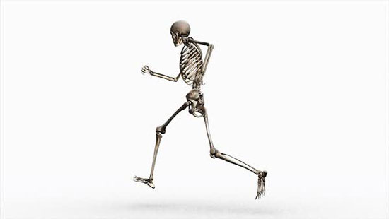 حقایقی جالب در مورد استخوان‌های بدن انسان