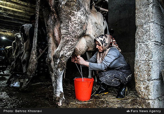 عکس: نهضت سواد آموزی بانوان