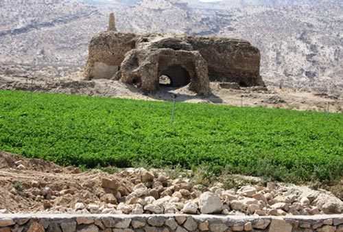 چرای گوسفندان در کوشک ساسانی! +عکس