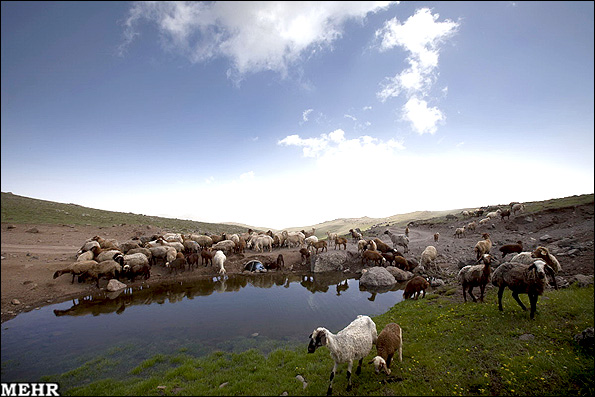 گزارش تصویری: روستای زیبایی در تالش