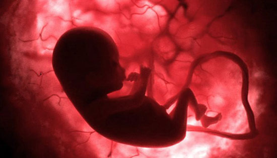 سقط عمدی جنین و پیامد‌ها و خطراتش