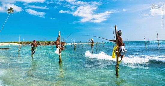 ماهیگیری به شیوه‌ای عجیب در سریلانکا