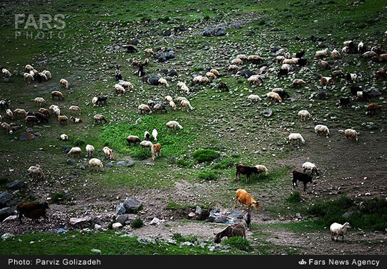 عکس: طبیعت بهشتی ارسباران