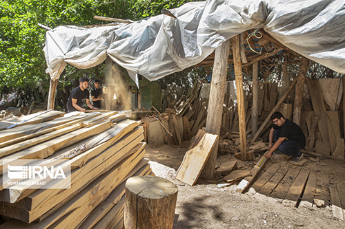 ساخت ساز ایرانی با چوب گردو و توت