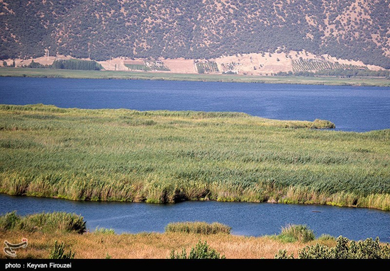 مرگ تدریجی بزرگترین دریاچه آب شیرین ایران