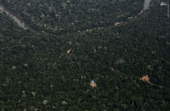 عکس: آمازون را از بالا ببینید