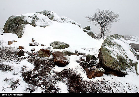 عکس: زیبایی طبیعت زمستانی کلیبر