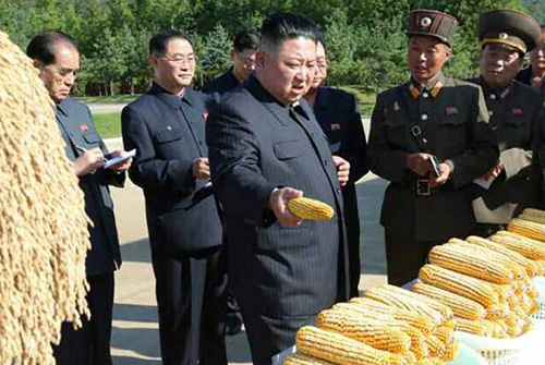 قحطی مرگبار در کره شمالی؛ چرا غذای کافی ندارند؟