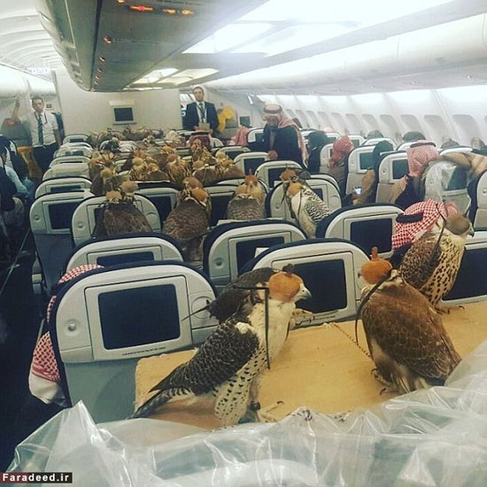 اقدام عجیب شاهزاده سعودی در هواپیما