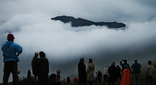 گردشگری: "جنگل ابر" ، فراسوی ابرها
