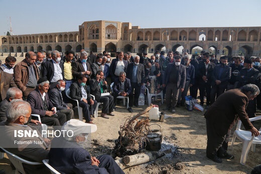 مثل خشخاش، کشت برنج در اصفهان ممنوع شود
