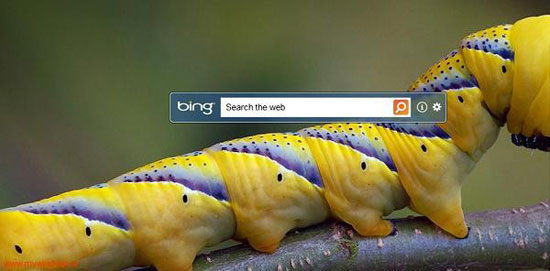 محبوب‌ترین کلمات جستجو شده در Bing