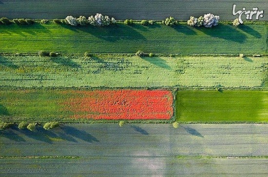 نتیجه علاقه به پاراگلایدر در عکس های هوایی خیره کننده