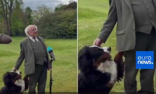 شیطنت سگ رئیس‌جمهور ایرلند سوژه شد