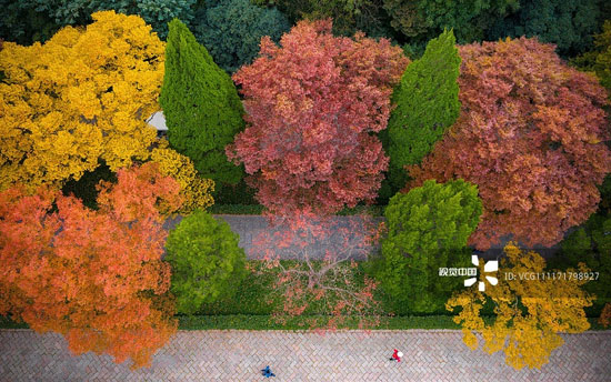 تصاویر هوایی از پاییز هزار رنگ‌ چین
