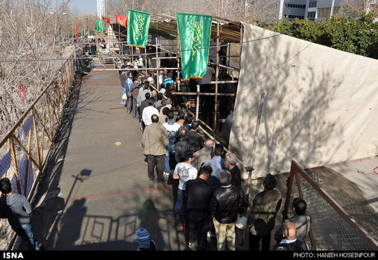 پخت 14 هزار کیلو شله‌زرد در شیراز +عکس