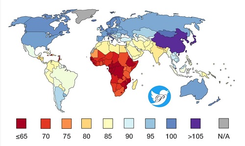 رتبه آی کیو ایرانیان در جهان مشخص شد