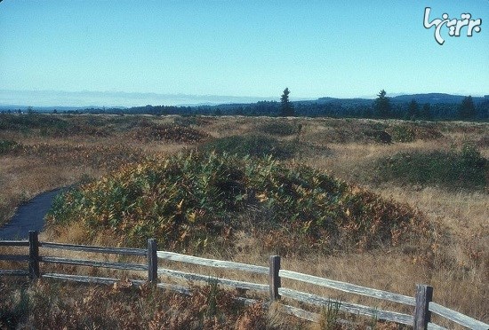 تپه های مرموز میما در واشنگتن