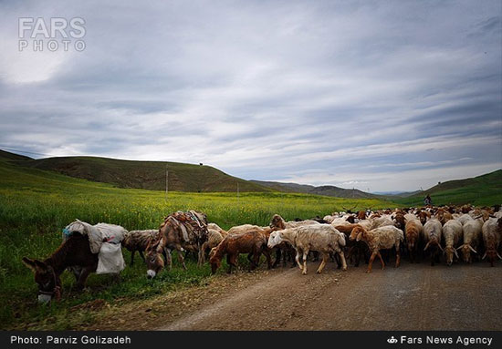 طبیعت ارسباران