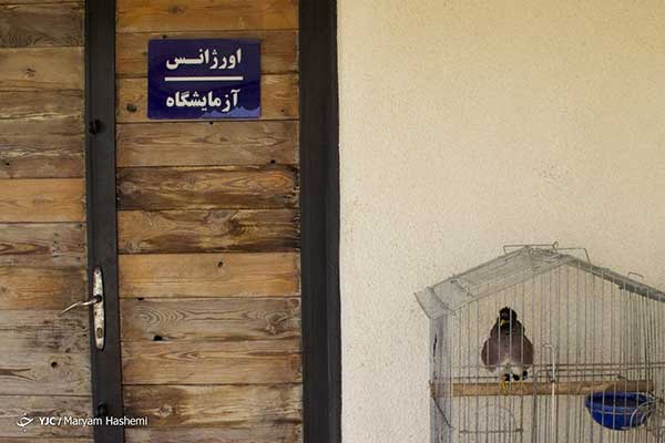 بزرگترین مرکز رسمی تیمار حیوانات در ایران