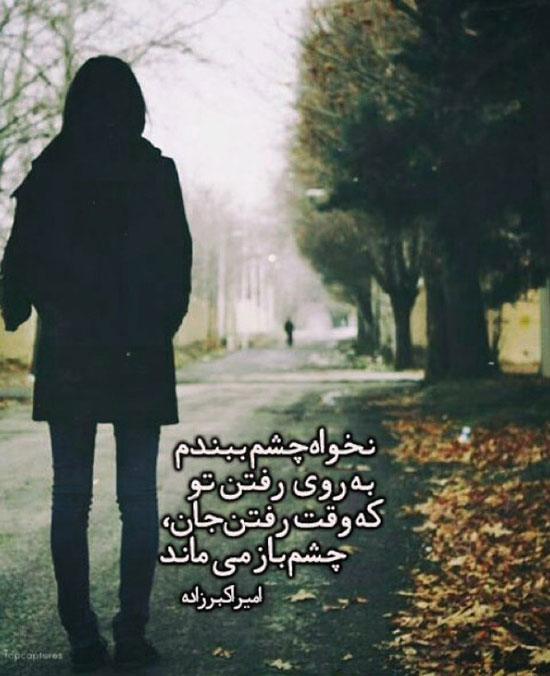 مینی شعر (249)