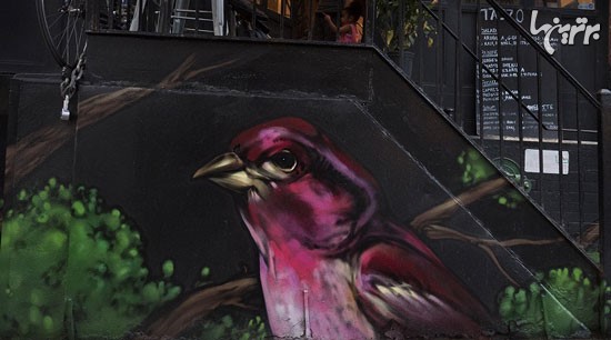 پرندگان در حال انقراض روی دیوار شهر!