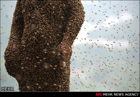 460 هزار زنبور روی بدن این مرد! +عکس
