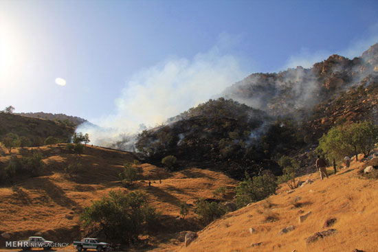 عکس: آتش سوزی در کوه‌های سرکن