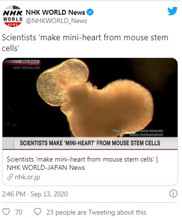 ساخت «مینی قلب» با سلول‌های بنیادی موش