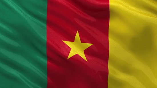کامرون اینترنت انگلیسی‌زبان‌ها را بست
