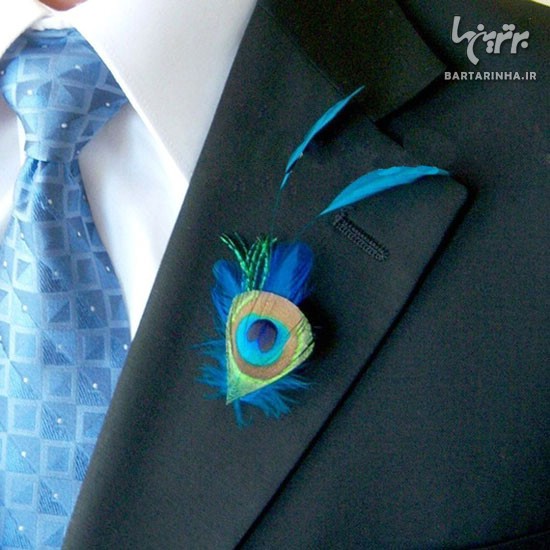 با پر طاووس خود را شیک و زیبا کنید +عکس
