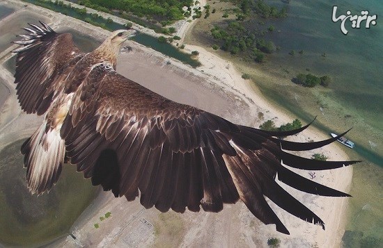 خیره کننده‌ترین عکس‌های هوایی که با درون گرفته شده