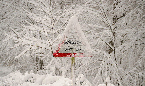 برف و کولاک در جنگل‌های بهشهر مازندران